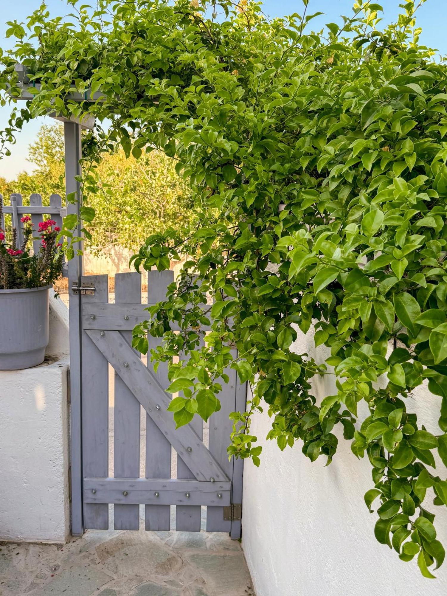 Вилла Giasemi Aegina, Modern House Экстерьер фото